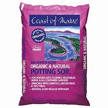 Coast of Maine Bar Harbor (2.0 cuft)